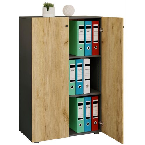 MID.YOU Arhivska Omara Lona Xl, Antracit, Barva Hrasta Cene