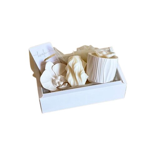 Marfeja Gift Shop Poklon Set Dve Orhideje, Beli Cene