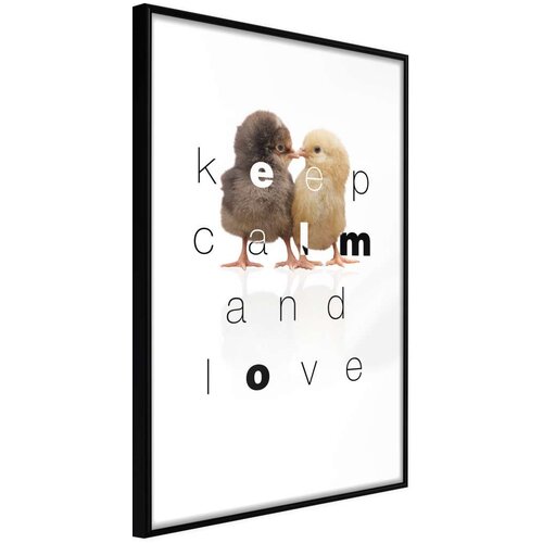  Poster - Cute Chicks 40x60 Slike