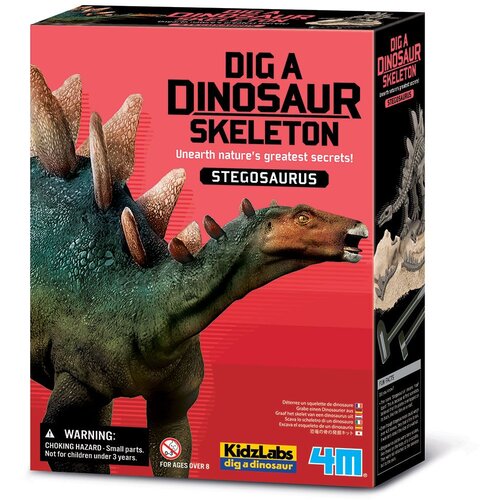 4m Iskopaj skelet dinosaurusa Triceratopsa 03228 Slike