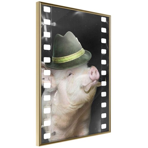  Poster - Dressed Up Piggy 30x45 Slike
