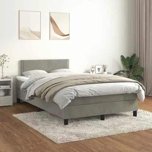Box spring postelja z vzmetnico svetlo siva 120x200 cm žamet, (20725095)