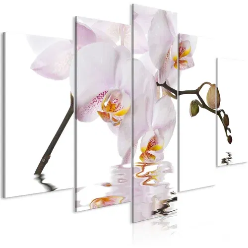 Slika - Delightful Orchid (5 Parts) Wide 100x50