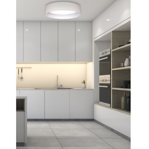  Duolla - LED plafonsko svetlo ROLLER LED/24W/230V prečnik 45 cm krem Slike