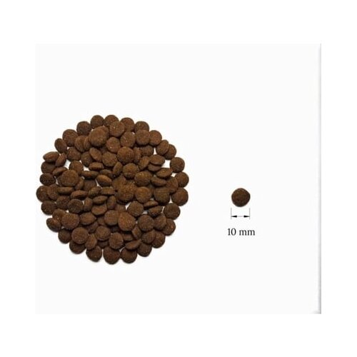 Cat's Love Suha mačja hrana "Adult perutnina" - 2 kg Cene