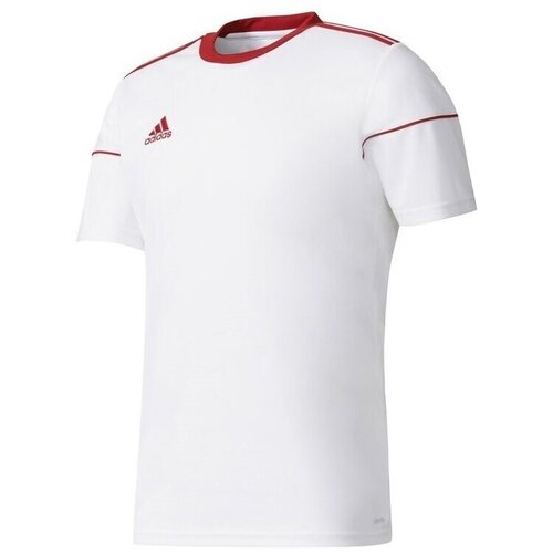 Adidas Majice s kratkimi rokavi Squadra 17 pisana Slike