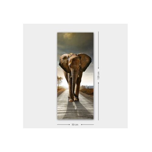 Wallity slika DKY260414424_50120, 50x120cm Cene