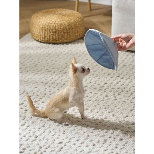 Sinsay Zaštitni ovratnik za psa Cijene