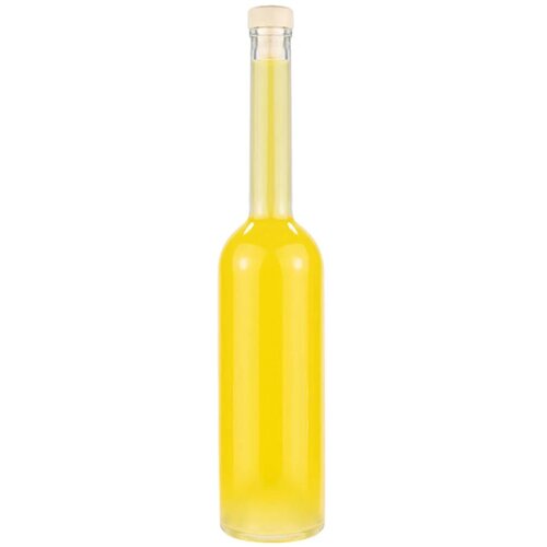  Staklena boca FENICE 700 ml sa čepom Cijene