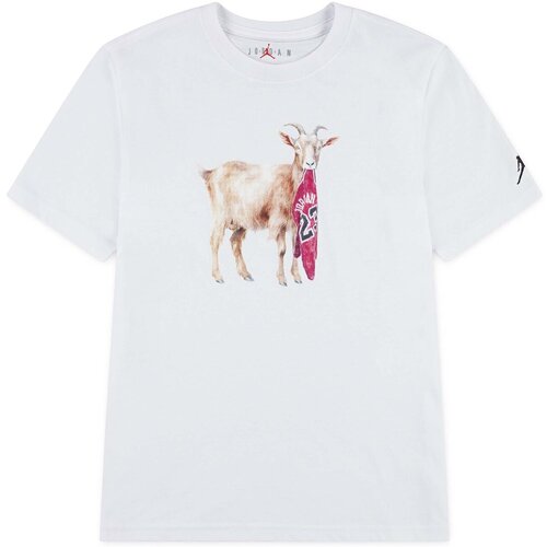 Nike Majice s kratkimi rokavi Mj Flt Goat Ss Crew Bela Slike