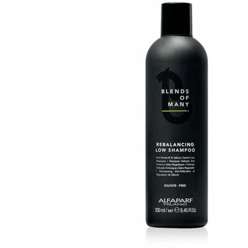 Alfaparf blends of many rebalancing šampon protiv peruti 250 ml Slike