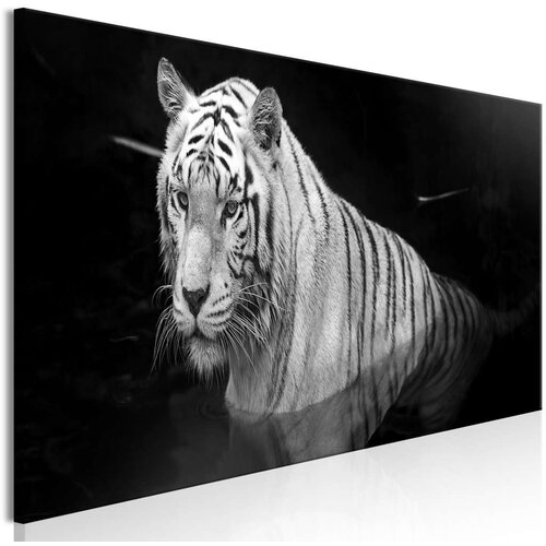  Slika - Shining Tiger (1 Part) Black and White Narrow 120x40 Slike