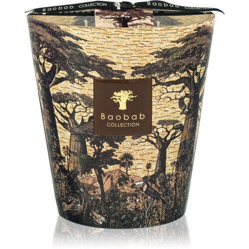 Baobab Collection Sacred Trees Mankono mirisna svijeća 1100 g Slike
