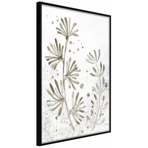  Poster - Dried Plants 20x30
