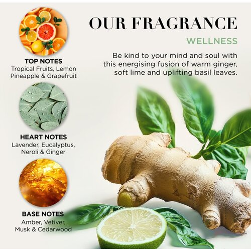 Baylis &amp;amp; Harding Wellness. Energise darilni set za telo Ginger, Lime &amp;amp; Basil Leaf Slike
