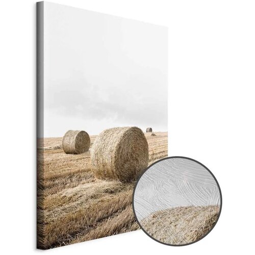  Slika - Hay (1 Part) Vertical 40x60 Premium Print Cene