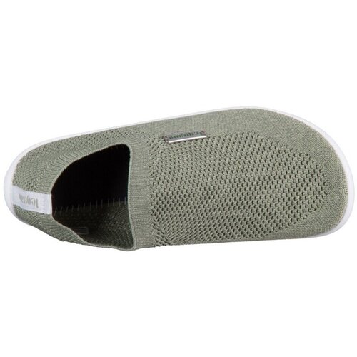 Leguano Nizke superge 10052075Sciogreen Siva Slike