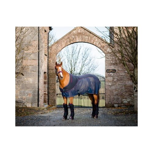 Horseware Ireland Pregrinjalo Rambo Sport Cooler navy/burgundy - 160 cm Slike