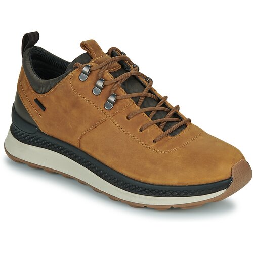Geox Nizke superge U SPHERICA ACTIF X2 Kostanjeva Slike