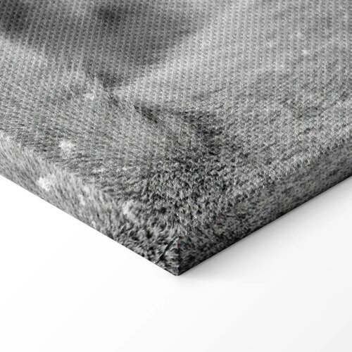  Slika - Lion\&amp;#039;s Love 30x20 Standard Slike