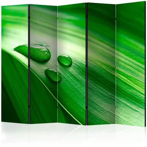  Paravan u 5 dijelova - Leaf and three drops of water II [Room Dividers] 225x172 Cene