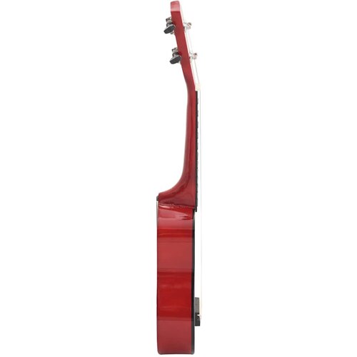  Set ukulelea Soprano s futrolom za djecu Natural 21 &amp;quot; Slike