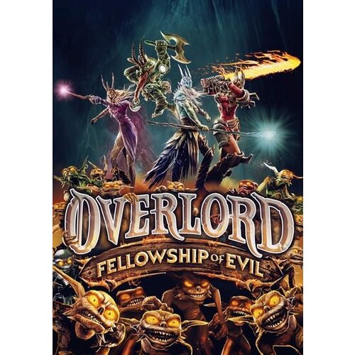  Overlord: Fellowship of Evil Steam Key GLOBAL Cene