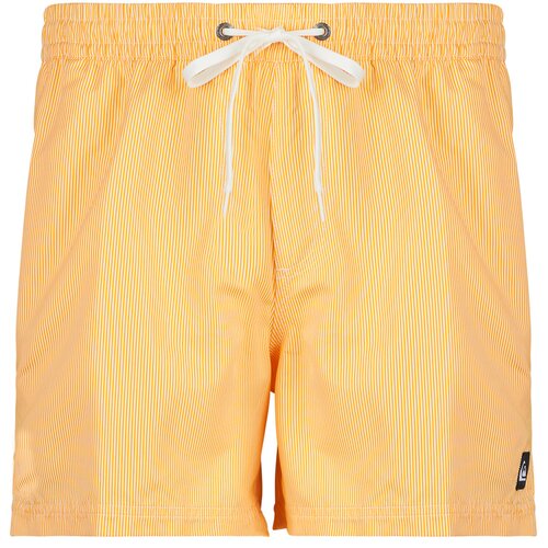 Quiksilver Kopalke / Kopalne hlače EVERYDAY DELUXE VOLLEY 15 Rumena Slike