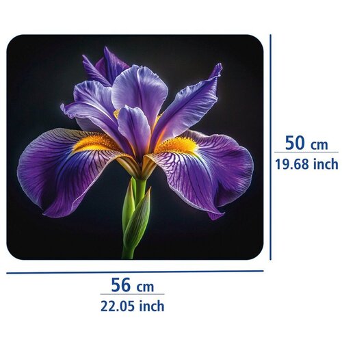 Wenko Zidna za&amp;scaron;titna ploča za &amp;scaron;tednjak od kaljenog stakla 50x56 cm Iris &amp;ndash; Slike