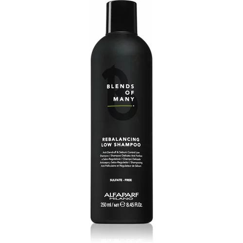 ALFAPARF MILANO Blends of Many Rebalancing šampon protiv peruti 250 ml