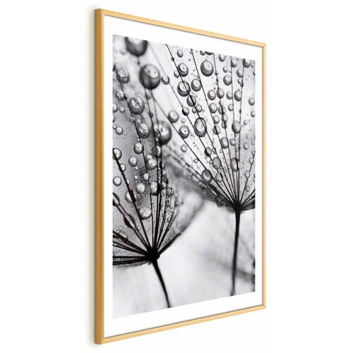  Plakat Macro Dew 60x90 Zlatni okvir s margom Cene