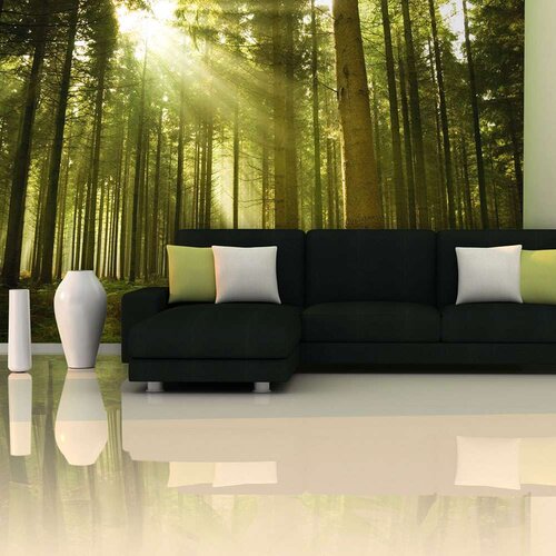  Tapeta - Pine forest 450x270 Slike