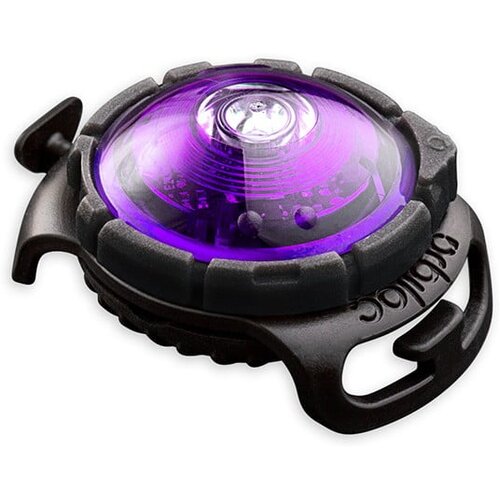 Orbiloc LED lučka za ovratnico Purple - Cene