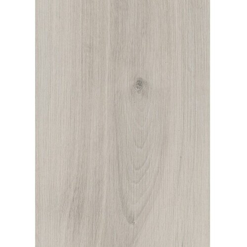 LOGOCLIC Edition Laminat Family Solario (D x Š x D: 1.288 x 245 x 7 mm, Rustikalni pod) + BAUHAUS jamstvo 15 godina Cijene