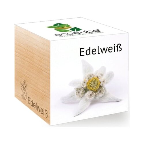 Feel Green ecocube "Planika" - Izvirna planika Cene