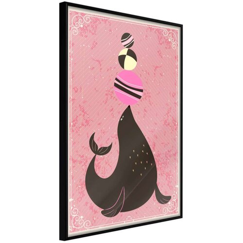  Poster - Circus Seal 40x60 Cijene