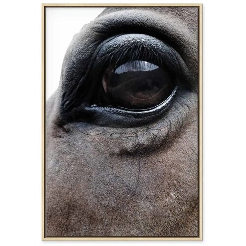  Slika - Honest Eyes (1 Part) Vertical 80x120 U prirodnom drvenom okviru Slike