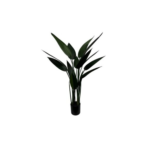 Avatar Dekor strelizia Slike