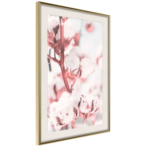  Poster - Cotton Flowers 20x30