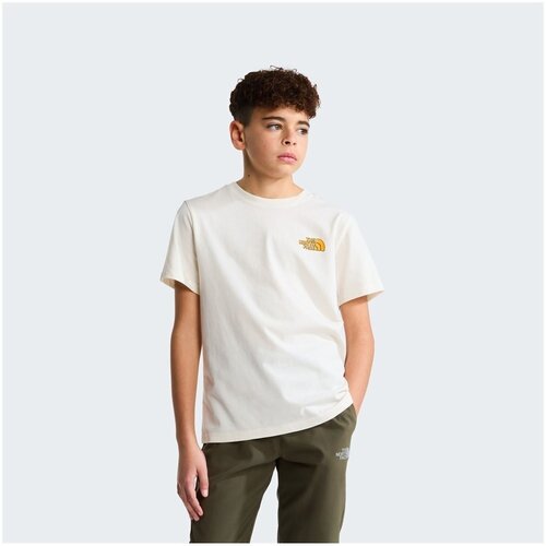 The North Face Majice s kratkimi rokavi NF0A8JGUQLI1 pisana Cene