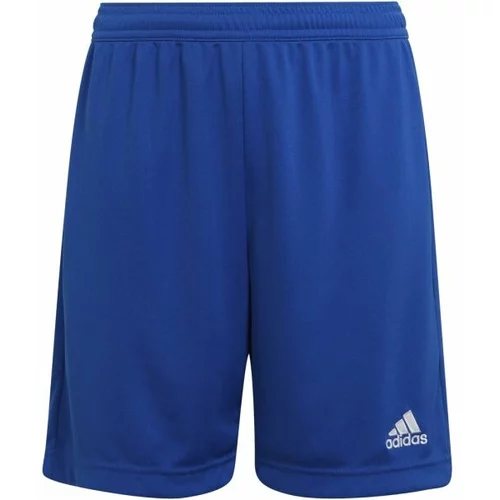 Adidas Športne hlače 'Entrada 22' temno modra / bela