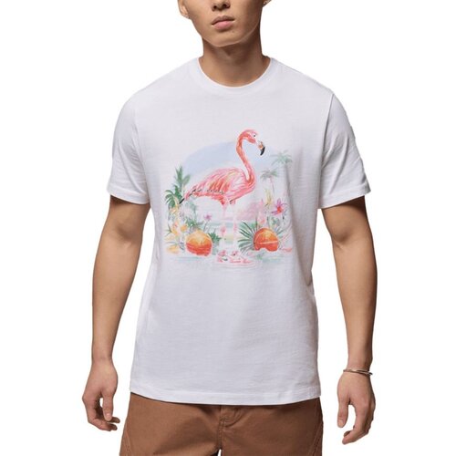 Nike M j flt ess flmngo ss crew Cene
