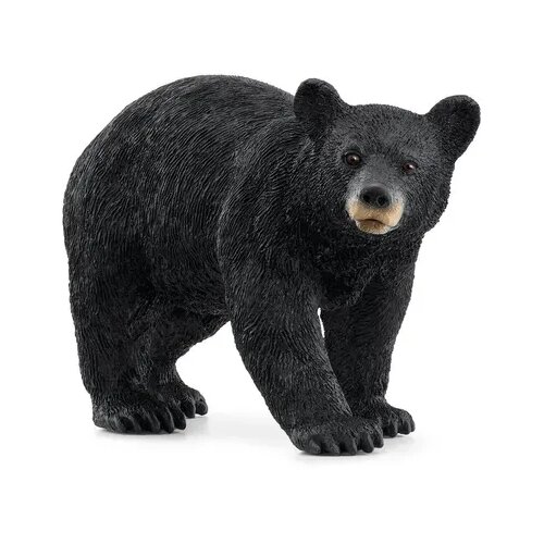 Schleich 14869 - Wild Life - ameriški črni medved Cene