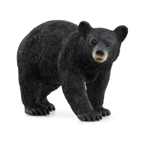Schleich 14869 - Wild Life - ameriški črni medved