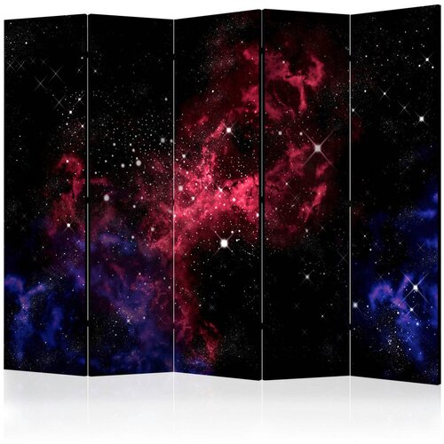 Artgeist PARAVAN 225/172/3 cm črna, magenta Cene