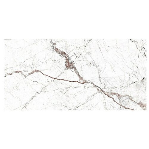  Podna pločica Windsor Burgundy (60 x 120 cm, Visokog sjaja) Slike