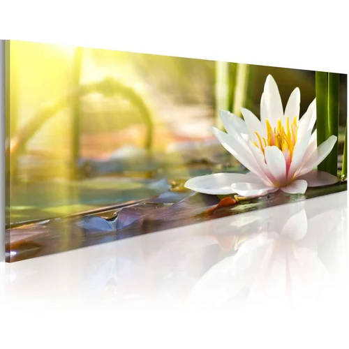  Slika - Lotus' Glow 135x45