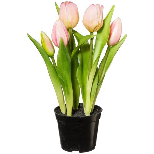 Modern Living Umetna Rastlina Tulpe I Cene