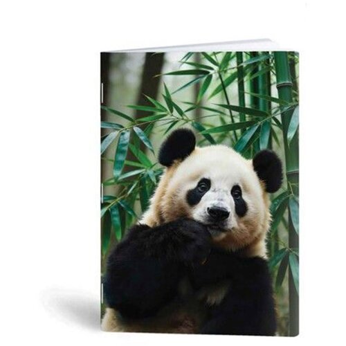 Rucksack Only Beležka A6 Panda, 40 listov Cene