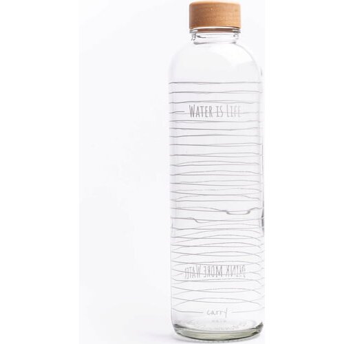 Carry Bottle Steklenica - Water is Life 1 liter Cene